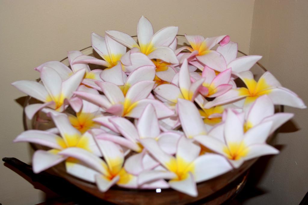 Skai Lodge Male Ngoại thất bức ảnh